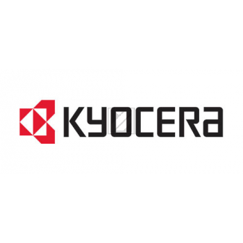 Original KYOCERA DV-160 / DV-160 Entwicklereinheit schwarz