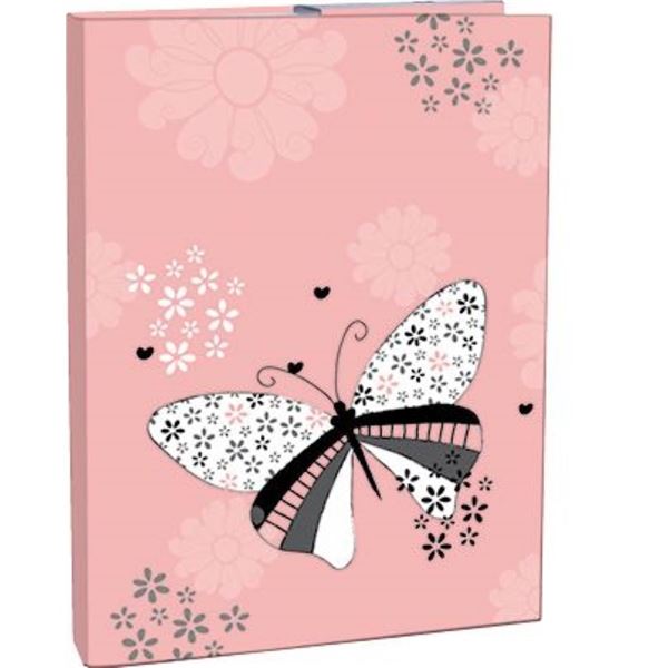 Box na sešity A5 s gumou, Spring wings