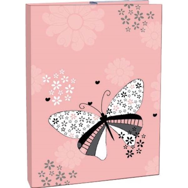 Box na sešity A4 s gumou, Spring wings