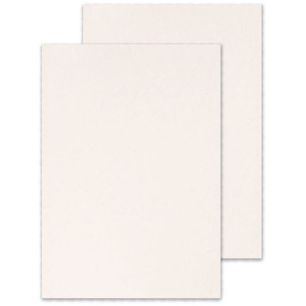 Obálka pro zadní stranu Q-Connect A4, 100 ks,bílá